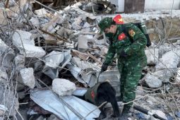 Việt Nam hỗ trợ khẩn cấp Thổ Nhĩ Kỳ và Syria 200.000 USD