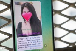 Telegram trở thành công cụ môi giới mua bán dâm tại Việt Nam