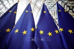 EU xác nhận Saudi Arabia tổ chức hội nghị hòa bình về Ukraine mà không cần có...