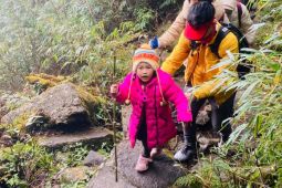 Bé gái 6 tuổi chinh phục chặng leo núi 12km lên đỉnh Fansipan