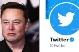 Elon Musk gây sốc khi quyết định 