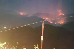Cháy rừng ở Sa Pa: Lửa tiếp tục lan rộng, huy động gần 840 người chữa cháy